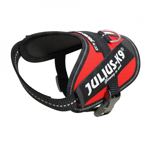 Julius K-9 IDC Power Harness Red – TRI Equestrian Julius K-9 IDC Power Harness Red – TRI Equestrian